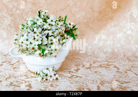 Bodegon mit wilden Blumen in eine Schüssel, geben ihm eine warme Note, indem Sie ein samtiges Hintergrund Stockfoto