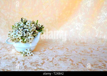 Bodegon mit wilden Blumen in eine Schüssel, geben ihm eine warme Note, indem Sie ein samtiges Hintergrund Stockfoto