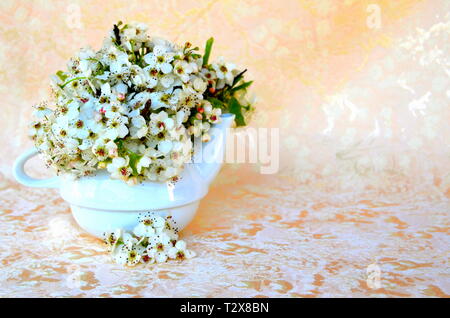 Bodegon mit wilden Blumen in eine Schüssel, geben ihm eine warme Note, indem Sie ein samtiges Hintergrund Stockfoto