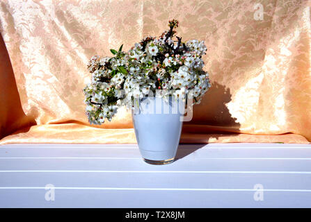 Bodegon mit wilden Blumen in eine Schüssel, geben ihm eine warme Note, indem Sie ein samtiges Hintergrund Stockfoto