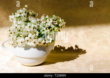 Bodegon mit wilden Blumen in eine Schüssel, geben ihm eine warme Note, indem Sie ein samtiges Hintergrund Stockfoto