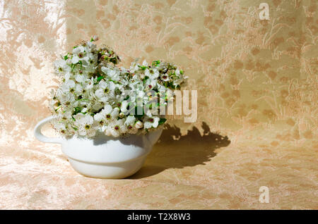 Bodegon mit wilden Blumen in eine Schüssel, geben ihm eine warme Note, indem Sie ein samtiges Hintergrund Stockfoto