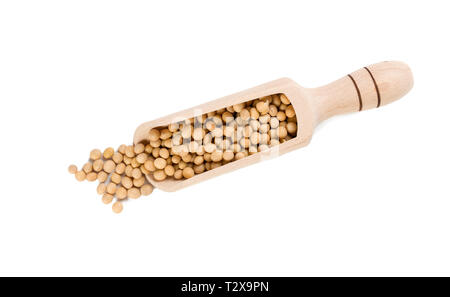 Sojabohne in Holz- Schaufel auf weißem Hintergrund. Ernährung. Lebensmittelzutat. Stockfoto