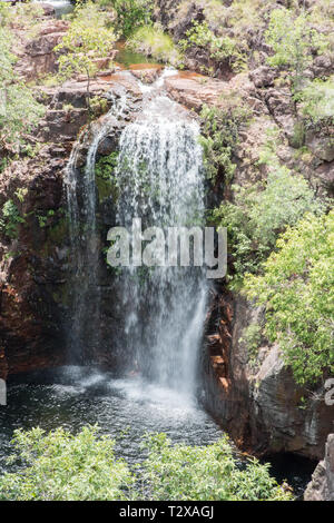 Atemberaubende Florence Falls mit Cascading Kopfsprung segmentierten Wasserfälle im Litchfield National Park im Northern Territory von Australien Stockfoto