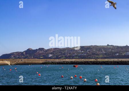 Hafen von Howth in Dublin, Irland auf den Osten Pier und Howth Head suchen. Stockfoto