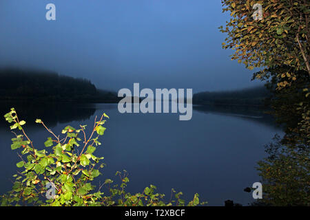 Dawn an einem nebligen Morgen im Herbst am Ufer des Loch Achray, Trossachs National Park, Schottland Stockfoto