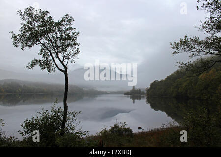 Loch Achray im Herbst Morgen mit Blick auf den Ben Venue eingehüllt in Nebel, Trossachs National Park, Schottland Stockfoto