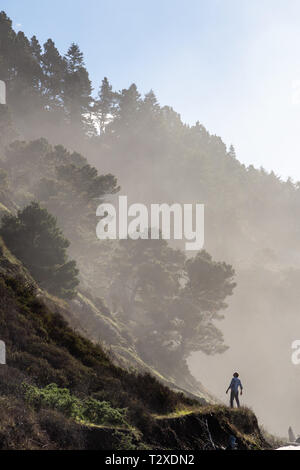 Ein Mann sieht einen steilen bewaldeten Hügel in Mendocino County, Kalifornien. Stockfoto