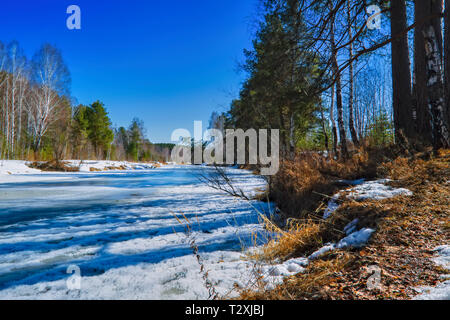 Der frühe Frühling Eis schmilzt auf einen kleinen Wald Fluss mit schönen hellen Sonnenstrahlen Stockfoto