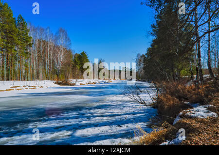 Der frühe Frühling Eis schmilzt auf einen kleinen Wald Fluss mit schönen hellen Sonnenstrahlen Stockfoto