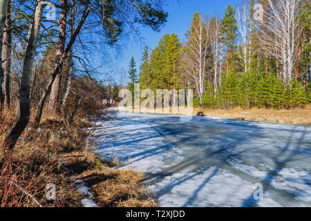 Der frühe Frühling Eis schmilzt auf einen kleinen Wald Fluss mit schönen hellen Sonnenstrahlen Stockfoto