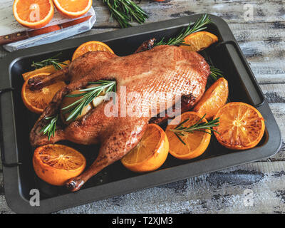 Ganze gebratene Ente mit Orangen, gefüllt mit Äpfeln und Rosmarin auf ein Backblech Stockfoto