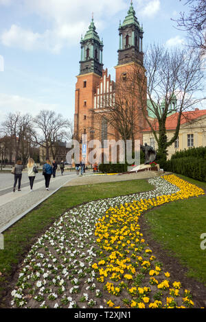 Touristen und Besucher in Posen: Basilika/Kathedrale steht auf Ostrow Tumski Insel, die älteste Kathedrale in Polen aus dem 10. Jahrhundert Stockfoto