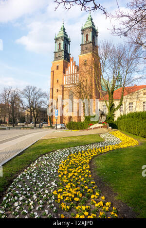 Touristen und Besucher in Posen: Basilika/Kathedrale steht auf Ostrow Tumski Insel, die älteste Kathedrale in Polen aus dem 10. Jahrhundert Stockfoto