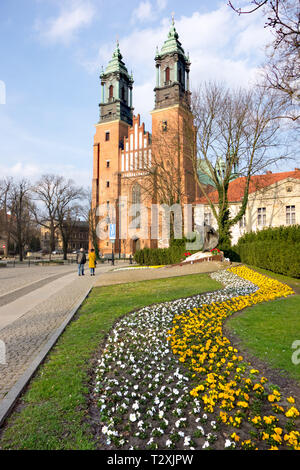 Touristen und Besucher in Posen: Basilika/Kathedrale steht auf Ostrow Tumski Insel, die älteste Kathedrale in Polen aus dem 10. Jahrhundert Stockfoto