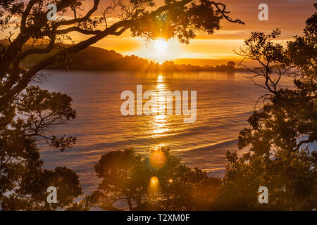 Sunrise Fotographie durch Zweige und Blätter von Mount Maunganui Tauranga Neuseeland gerahmt Stockfoto