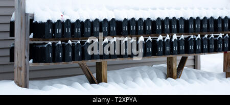 Mailboxen aufgereiht in einer Reihe mit Schnee bedeckt Stockfoto