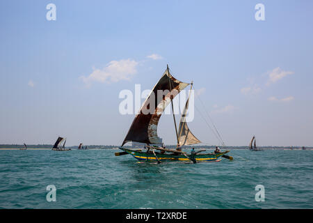 Sri Lanka die traditionelle Fischerei Katamarane in Lakkadiven Meer bei Negombo, Sri Lanka Stockfoto