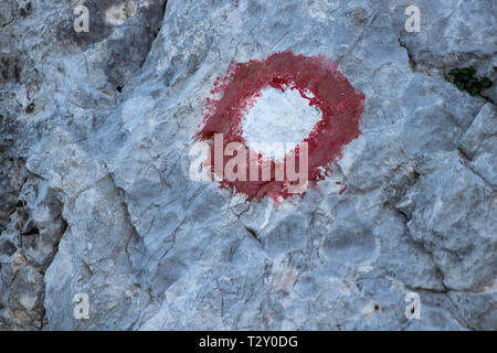 Red blaze auf Felsen Stockfoto