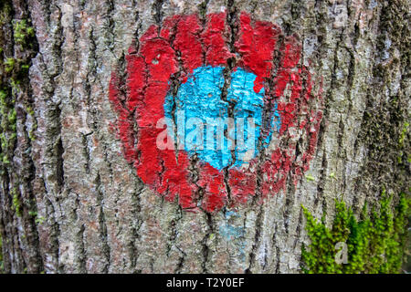 Rote und blaue Flamme am Baum Stockfoto