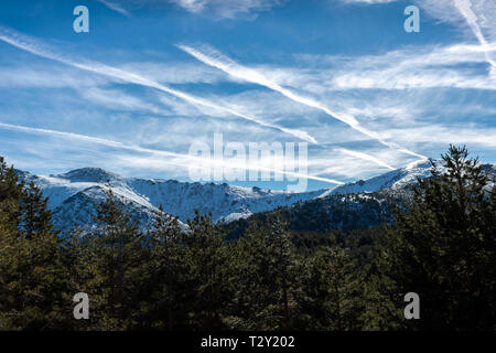 Snowy Mountains vor einem großen Wald Stockfoto