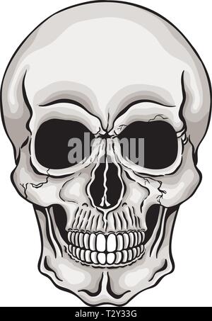 Vector Illustration des menschlichen Schädels. Stock Vektor