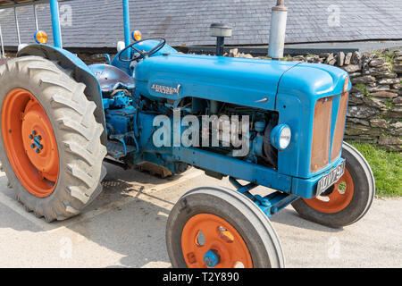 Massey Ferguson Traktor bei Healeys Cornish Cyder Farm Stockfoto