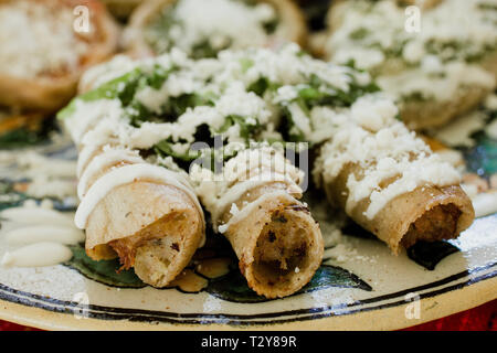 Tacos dorados, flautas de pollo, chicken Tacos und scharfen Salsa Hausgemachte mexikanisches Essen in Mexiko Stockfoto