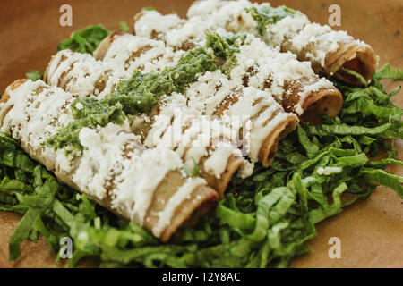 Tacos dorados, flautas de pollo, chicken Tacos und scharfen Salsa Hausgemachte mexikanisches Essen in Mexiko Stockfoto