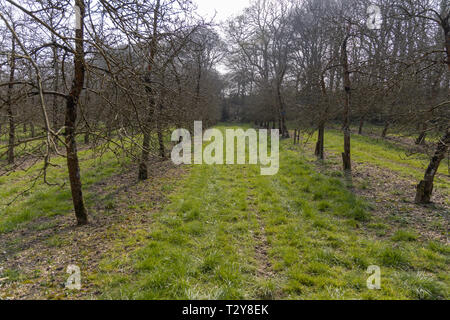 Traktor Farm Tour der Obstgärten auf Healeys Cyder Farm Stockfoto