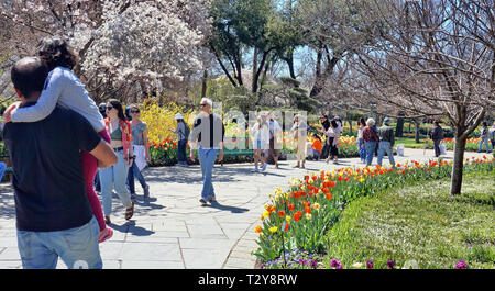 Dallas, Texas - März 18,2019 - Junge Familien an einem schönen Tag im Frühjahr die Erkundung der Dallas Arboretum Garten in Dallas, Texas. Stockfoto