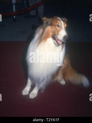 BEL-AIR, CA - 14. März: Lassie besucht Tina Braun Hosts' der New Yorker geht an die Filme" am 14. März 1994 im Hotel Bel-Air in Bel-Air, Kalifornien. Foto von Barry King/Alamy Stock Foto Stockfoto