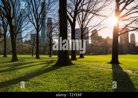 Central Park am sonnigen Abend. New York im Freien, Feder Stockfoto