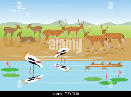 Herden von Rotwild sind Ausruhen am Bach entlang, lackiert Storch sind zu Fuß im Wasser mit Wiesen und Berge als Hintergrund Stock Vektor