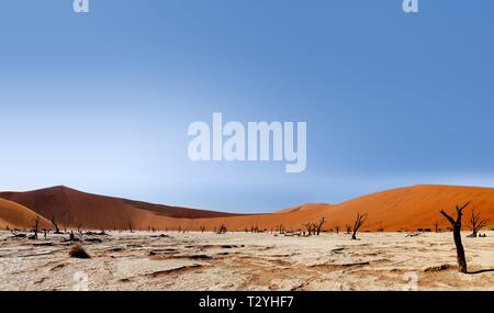 Dead Vlei mit der Düne Big Daddy in Panorama, Sossusvlei, Namibia Stockfoto