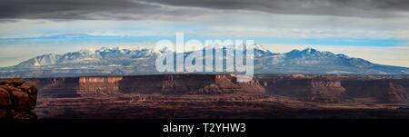 Blick vom Grand View Point, La Sal Mountains, La Sal, Insel im Himmel, Canyonlands National Park, Moab, Utah, USA Stockfoto