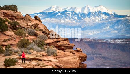 Blick vom Grand View Point, La Sal Mountains, La Sal, Insel im Himmel, Canyonlands National Park, Moab, Utah, USA Stockfoto