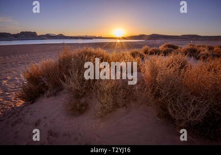 Sandstrand Strand von Lone Rock Beach am Lake Powell, Glen Canyon National Recreation Area, Seite, Utah, USA Stockfoto