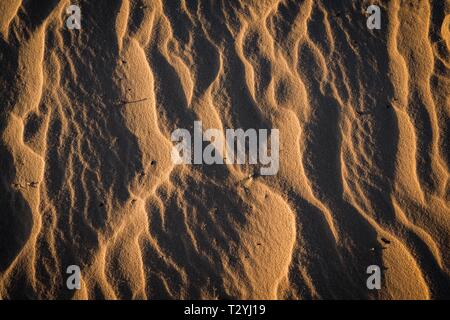 Wave-Strukturen im hellen Sandstrand, Sandverwehungen, Hintergrundbild, USA Stockfoto