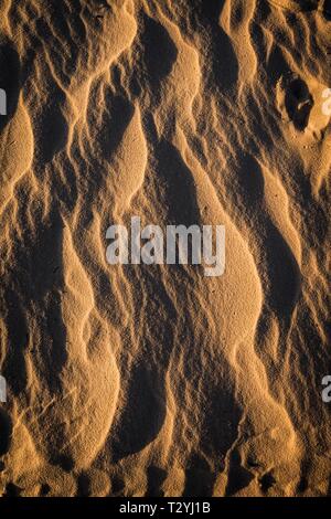 Wave-Strukturen im hellen Sandstrand, Sandverwehungen, Hintergrundbild, USA Stockfoto