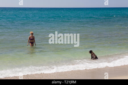 Einen großen schwarzen Hund wartet auf eine Frau, die aus dem Wasser kommt. Ein Tier am Strand. Stockfoto