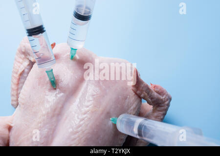 Frische Hähnchen mit Stuck Spritzen für Experimente und GVO auf blauem Hintergrund. Close Up. Stockfoto