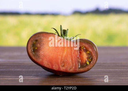 Die Hälfte der frischen Tomate primora mit grünen Weizenfeld Stockfoto
