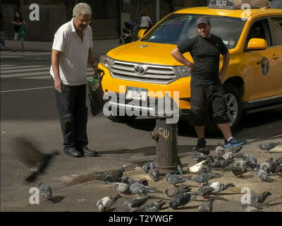 NEW YORK, NEW YORK, USA - 14. SEPTEMBER 2015: ein älterer Mann füttert Tauben auf einem new york street Stockfoto