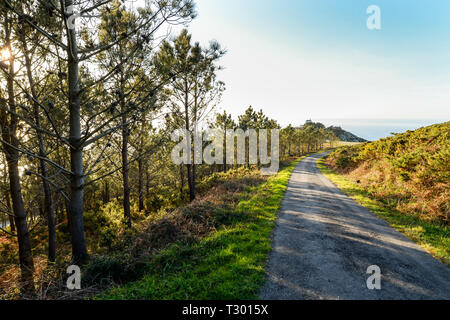 Die Straße, die vom Monte Pousada zum Leuchtturm in Finisterre Stockfoto