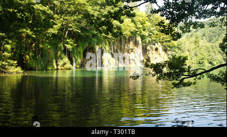 Wasserfälle und Baum, schöne Natur Landschaft, Plitvicer Seen in Kroatien, Nationalpark Stockfoto