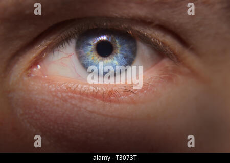 Nahaufnahme der männlichen blauen Auge, Makro Stockfoto