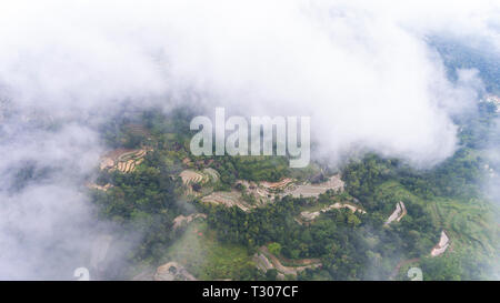 Ein Blick auf Reisfelder Anbau und Patches von Wald aus großer Höhe. In der Nähe von Nglanggeran Berg Stockfoto