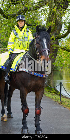 Mounted Police Officer Vorbereiten einer Fotografie Session im Palast des Bischofs in Wells, Somerset, Großbritannien Stockfoto