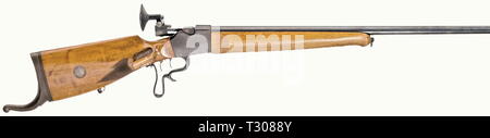 Die langen Arme, moderne Systeme, Sport Gewehr, ohne Hersteller, Kaliber 22 lr, Nummer 780, Editorial-Use - Nur Stockfoto